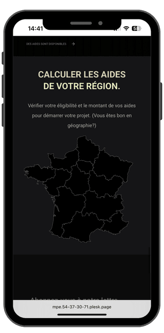 fake mobile